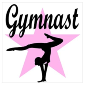 Gymnastics is a great fitness sport for Prek-5th grade.