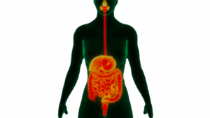 Where Does our Health and Energy come from?
